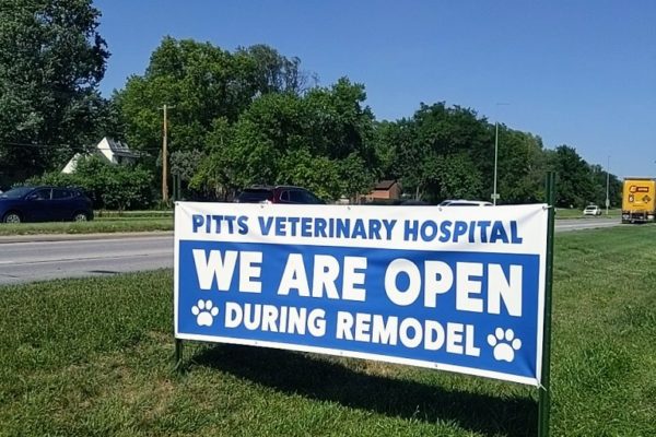 Natchez Trace Veterinary Services